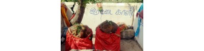252. திருப்பாசூர்